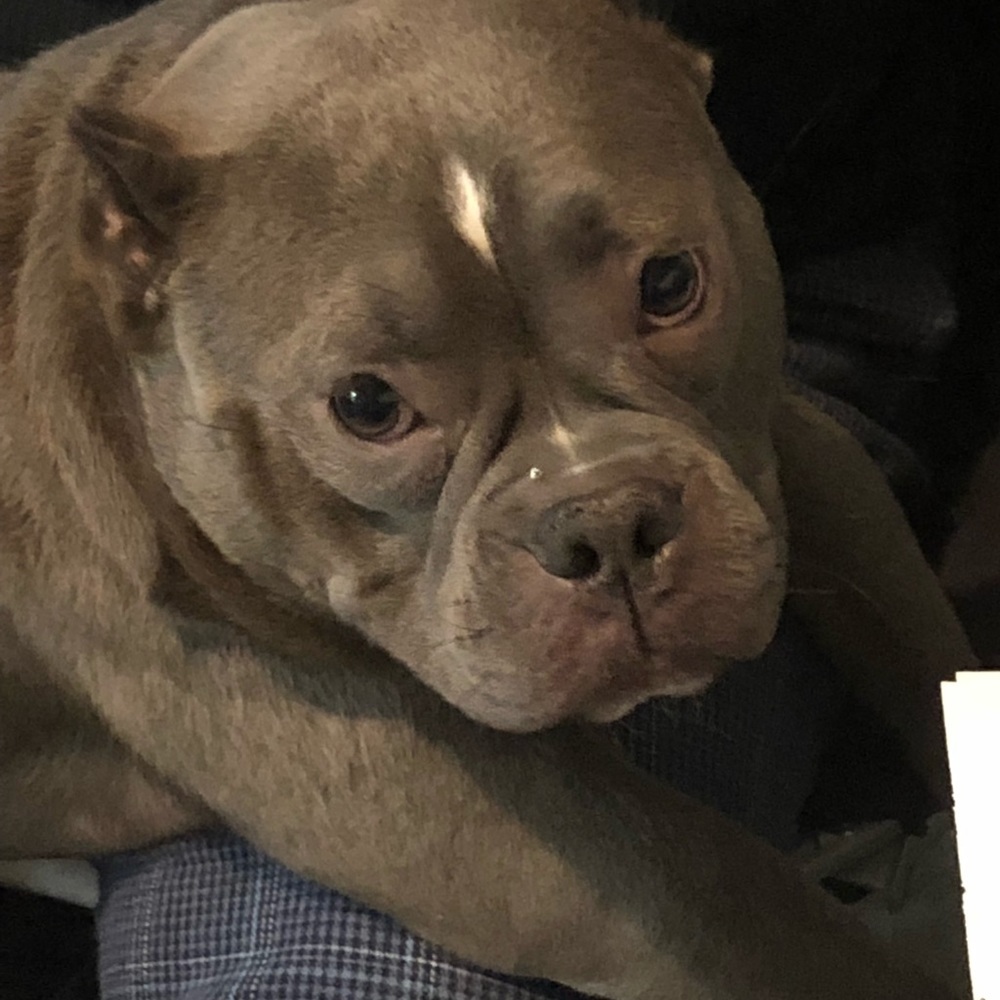 Meet your Posher, Rosneidy